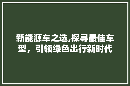 新能源车之选,探寻最佳车型，引领绿色出行新时代
