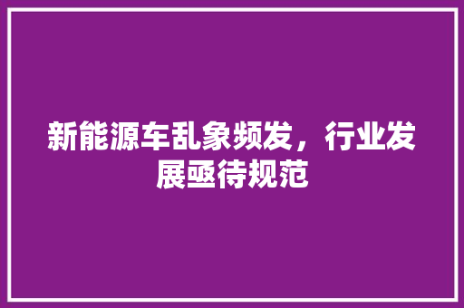 新能源车乱象频发，行业发展亟待规范