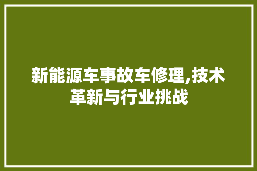新能源车事故车修理,技术革新与行业挑战