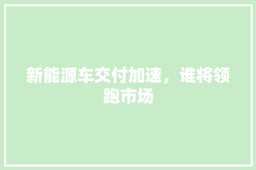 新能源车交付加速，谁将领跑市场