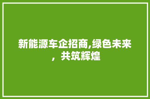 新能源车企招商,绿色未来，共筑辉煌