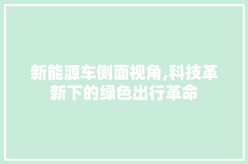 新能源车侧面视角,科技革新下的绿色出行革命