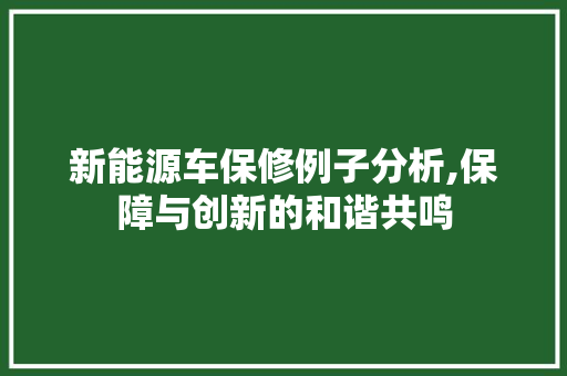 新能源车保修例子分析,保障与创新的和谐共鸣