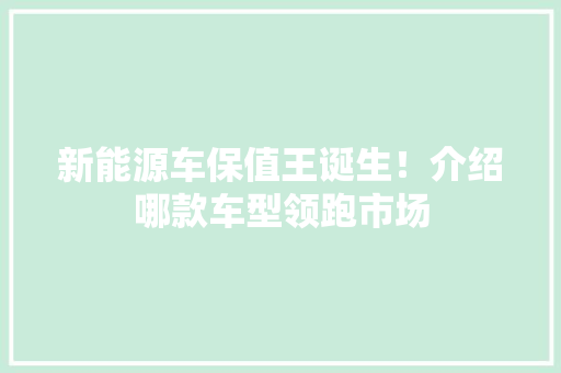 新能源车保值王诞生！介绍哪款车型领跑市场