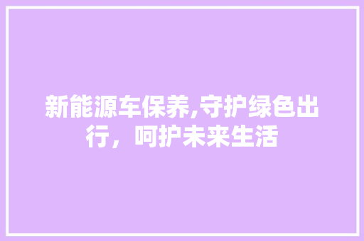 新能源车保养,守护绿色出行，呵护未来生活