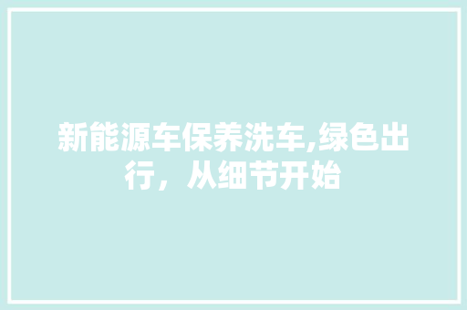 新能源车保养洗车,绿色出行，从细节开始