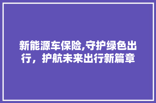 新能源车保险,守护绿色出行，护航未来出行新篇章