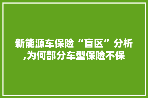 新能源车保险“盲区”分析,为何部分车型保险不保
