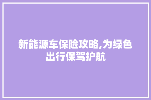 新能源车保险攻略,为绿色出行保驾护航