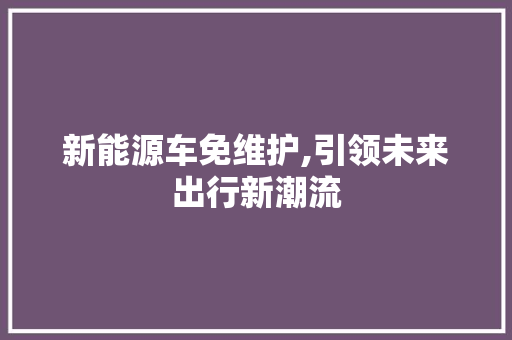 新能源车免维护,引领未来出行新潮流