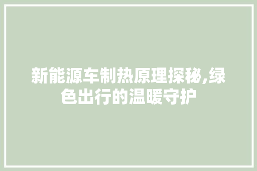 新能源车制热原理探秘,绿色出行的温暖守护 新款车型