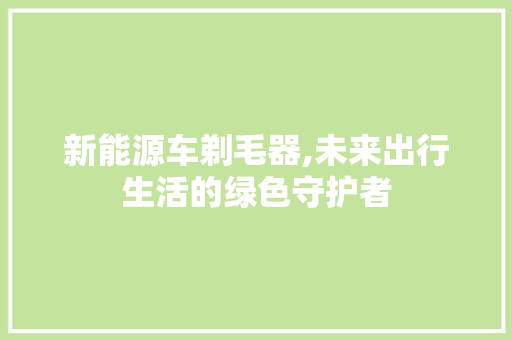 新能源车剃毛器,未来出行生活的绿色守护者