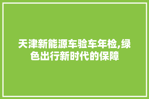天津新能源车验车年检,绿色出行新时代的保障