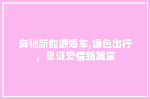 奔驰新能源婚车,绿色出行，见证爱情新篇章