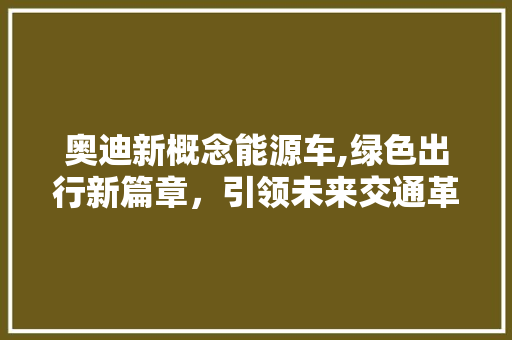 奥迪新概念能源车,绿色出行新篇章，引领未来交通革命