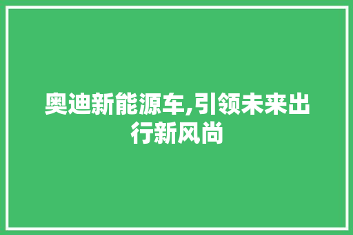 奥迪新能源车,引领未来出行新风尚