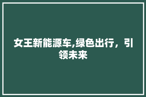 女王新能源车,绿色出行，引领未来