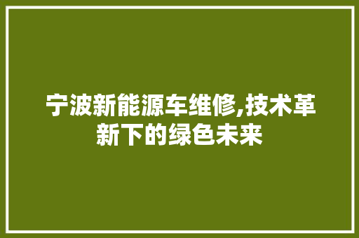 宁波新能源车维修,技术革新下的绿色未来