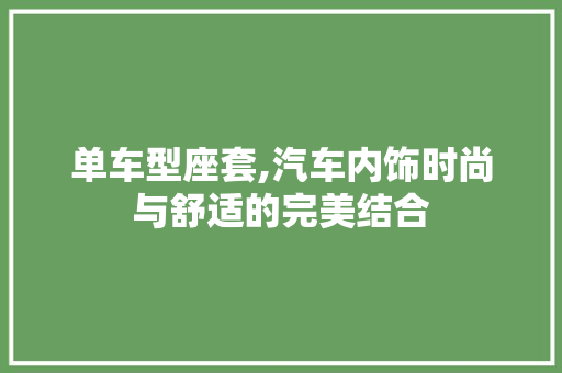 单车型座套,汽车内饰时尚与舒适的完美结合