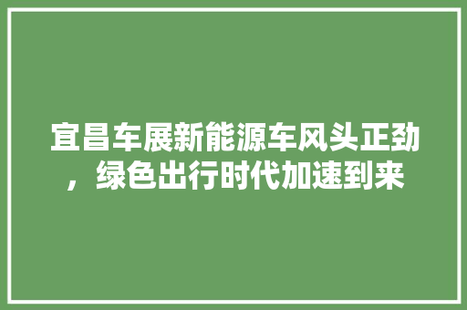 宜昌车展新能源车风头正劲，绿色出行时代加速到来