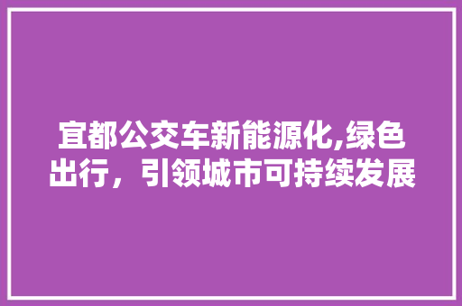 宜都公交车新能源化,绿色出行，引领城市可持续发展新风尚