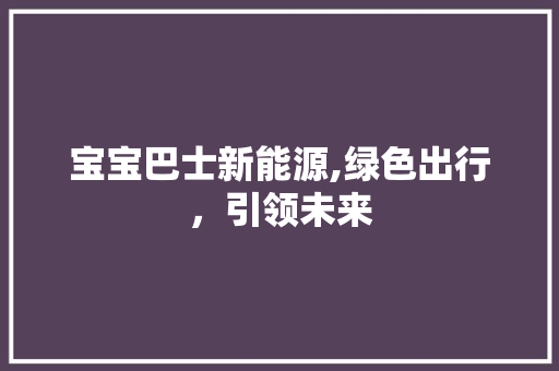 宝宝巴士新能源,绿色出行，引领未来