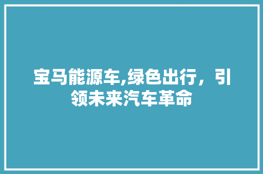 宝马能源车,绿色出行，引领未来汽车革命