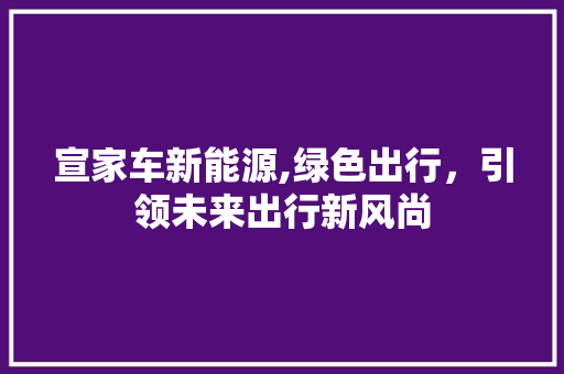 宣家车新能源,绿色出行，引领未来出行新风尚