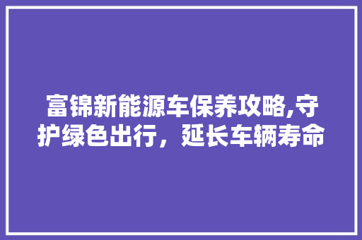 富锦新能源车保养攻略,守护绿色出行，延长车辆寿命