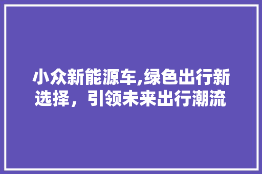 小众新能源车,绿色出行新选择，引领未来出行潮流