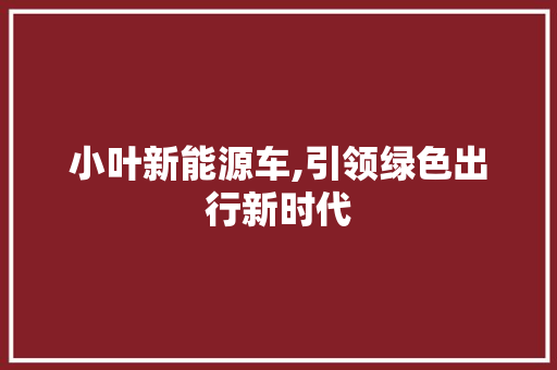 小叶新能源车,引领绿色出行新时代