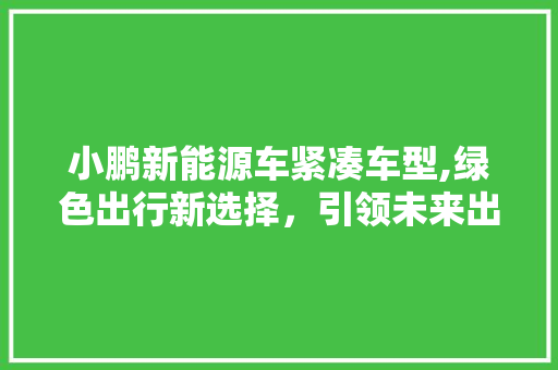 小鹏新能源车紧凑车型,绿色出行新选择，引领未来出行潮流