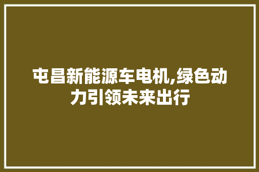 屯昌新能源车电机,绿色动力引领未来出行