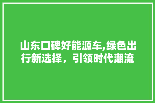 山东口碑好能源车,绿色出行新选择，引领时代潮流
