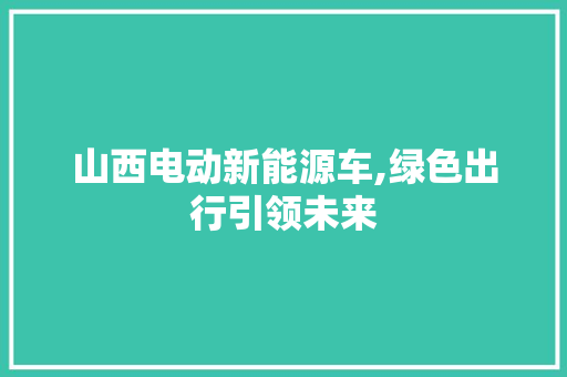 山西电动新能源车,绿色出行引领未来