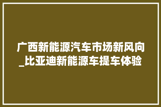 广西新能源汽车市场新风向_比亚迪新能源车提车体验分享