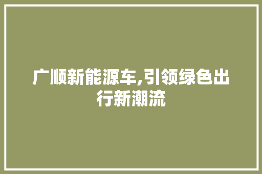 广顺新能源车,引领绿色出行新潮流