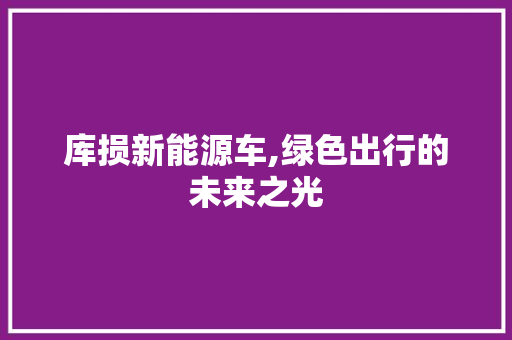 库损新能源车,绿色出行的未来之光