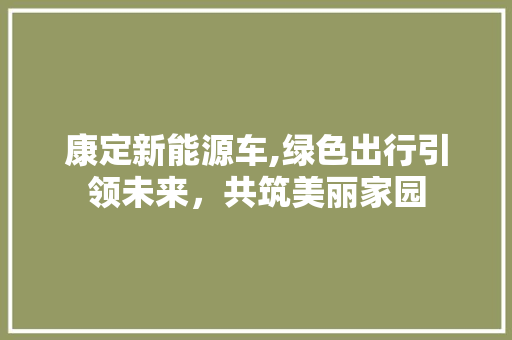 康定新能源车,绿色出行引领未来，共筑美丽家园