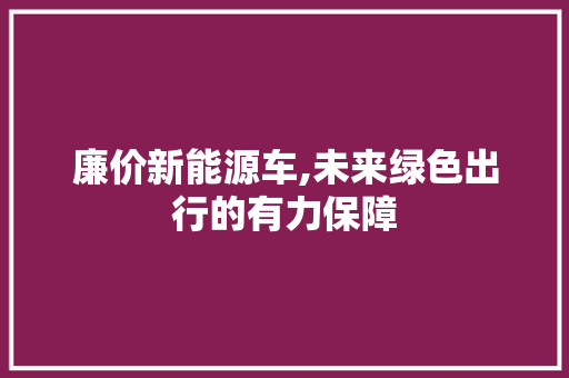 廉价新能源车,未来绿色出行的有力保障