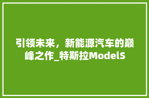 引领未来，新能源汽车的巅峰之作_特斯拉ModelS