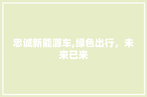 忠诚新能源车,绿色出行，未来已来
