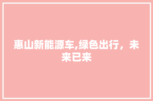 惠山新能源车,绿色出行，未来已来