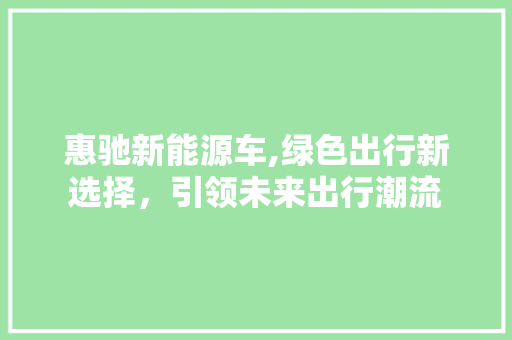 惠驰新能源车,绿色出行新选择，引领未来出行潮流