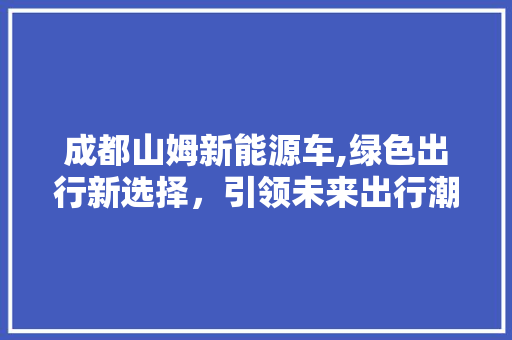 成都山姆新能源车,绿色出行新选择，引领未来出行潮流