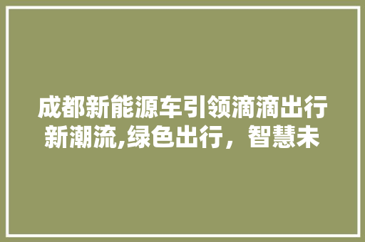 成都新能源车引领滴滴出行新潮流,绿色出行，智慧未来