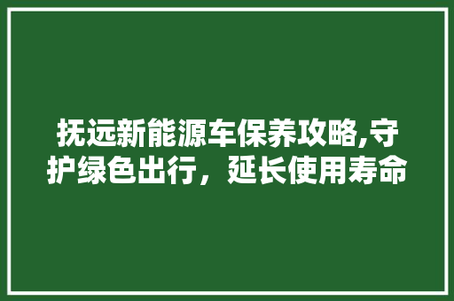 抚远新能源车保养攻略,守护绿色出行，延长使用寿命