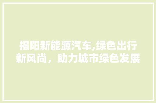 揭阳新能源汽车,绿色出行新风尚，助力城市绿色发展