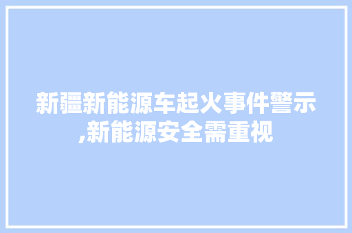 新疆新能源车起火事件警示,新能源安全需重视