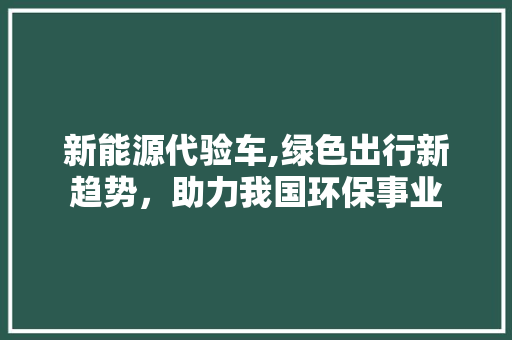 新能源代验车,绿色出行新趋势，助力我国环保事业